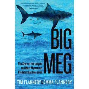 Big Meg: The Story of the Largest and Most Mysterious Predator That Ever Lived -